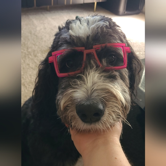 Like this post to be notified when I go live! - Picture 16 of 17